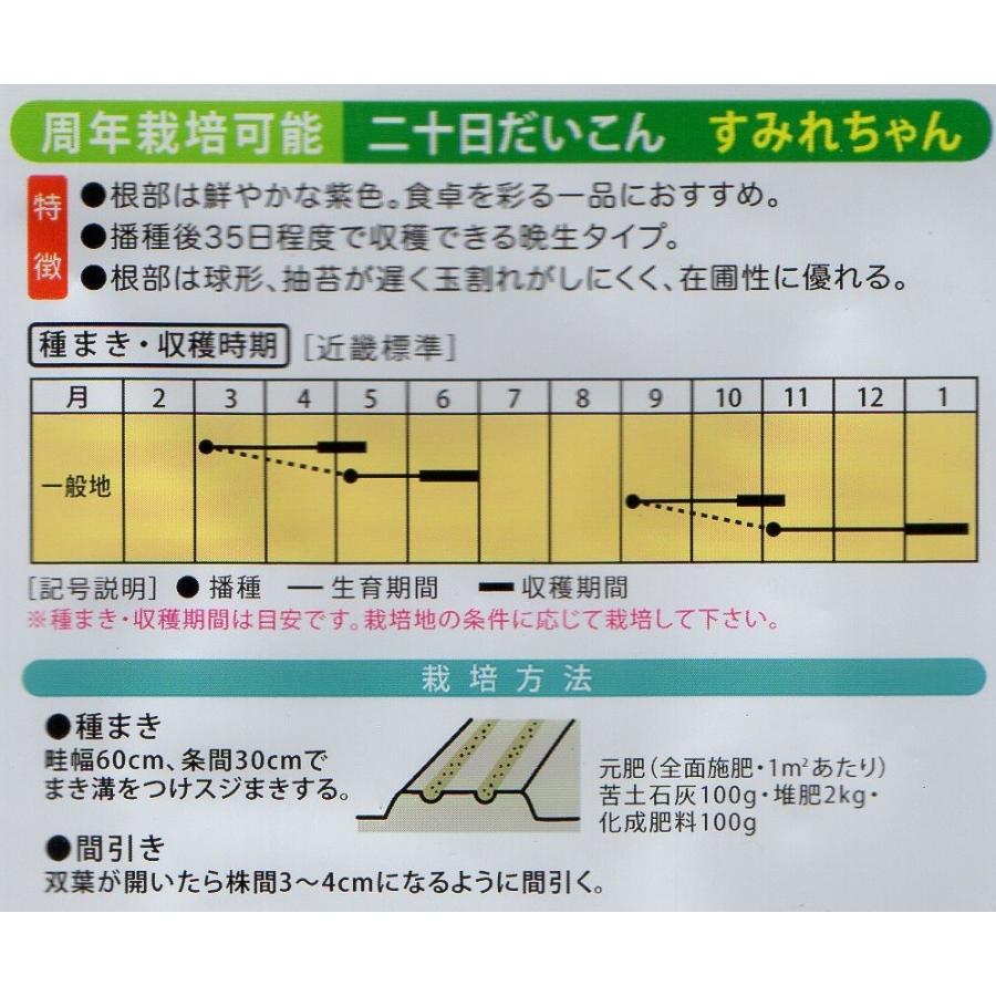 はつか大根 すみれちゃん 小袋 5ml入り 郵便発送商品 Vr タネのノザキ ヤフー店 通販 Yahoo ショッピング
