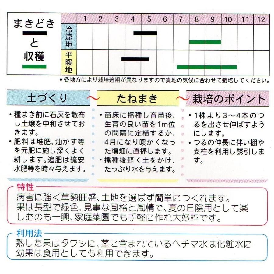 へちま 太ヘチマ 小袋 10ml入り 郵便発送商品 Vs タネのノザキ ヤフー店 通販 Yahoo ショッピング