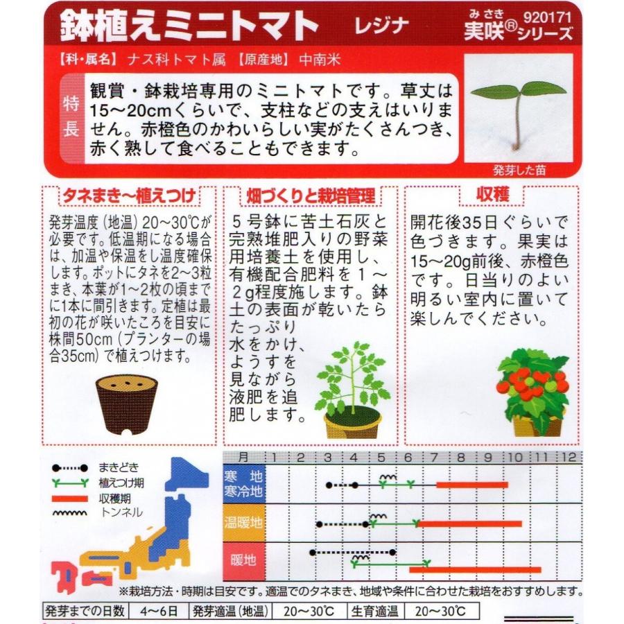 レジナ 鉢植えミニトマト 小袋 0 6ml入り 郵便発送商品 Vt タネのノザキ ヤフー店 通販 Yahoo ショッピング