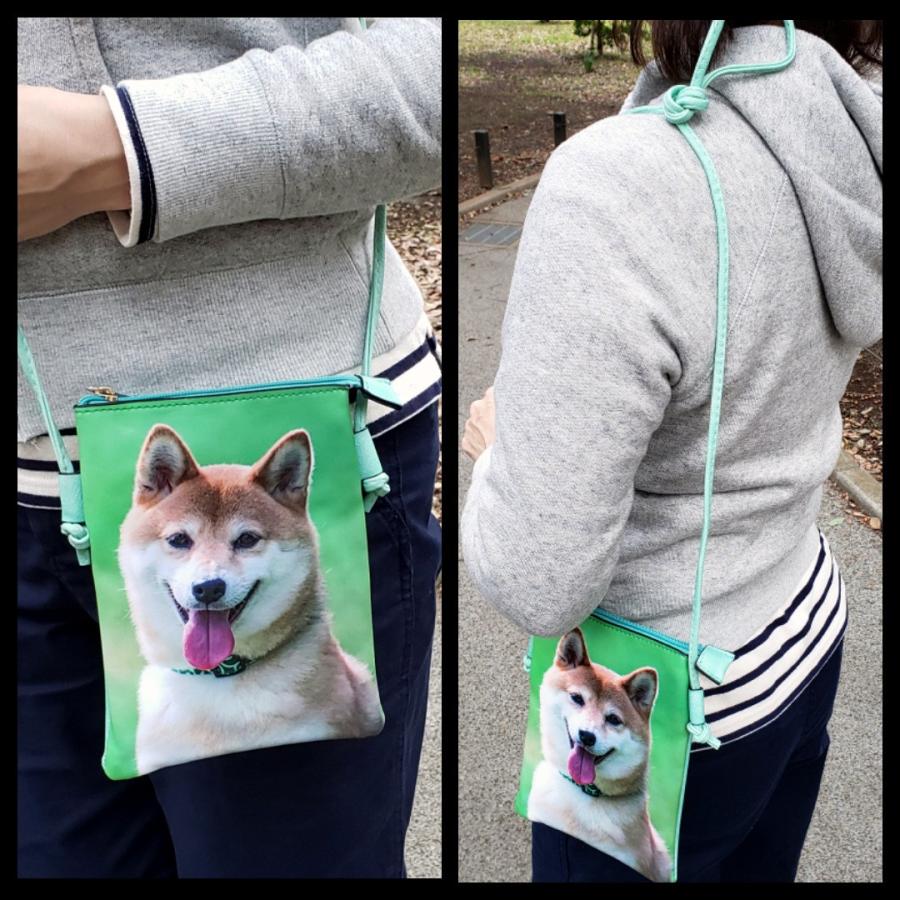 ポシェット スマホポーチ かわいい ショルダー 斜め掛け 動物柄 柴犬 メール便送料無料 Fas 01 タンジェリンyahoo ショップ 通販 Yahoo ショッピング