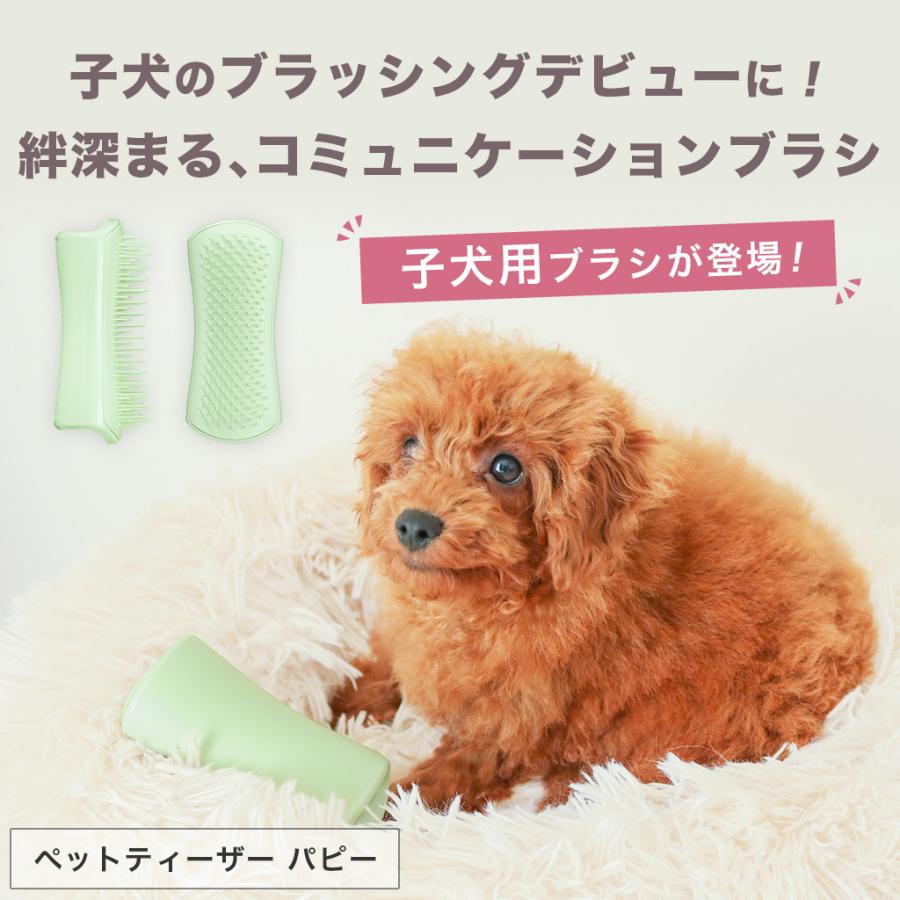 いぬページ お取り寄せ/NARTRU ラージ ダブル ドッグ クレート ケンネル