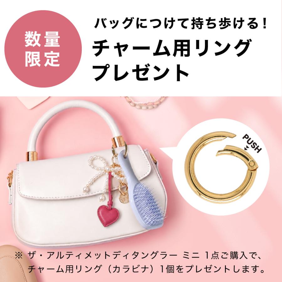 TANGLE TEEZER（タングルティーザー） ヘアブラシ 公式 絡まない ザ