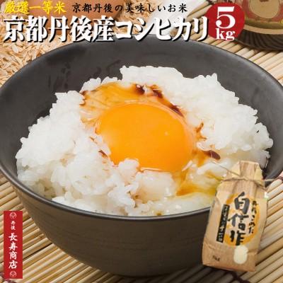 京都丹後産コシヒカリ5kg 2025年度産 厳選一等米お米 白米精米済 単一 