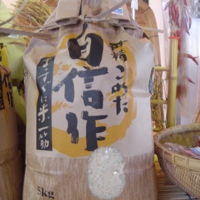 京都丹後産コシヒカリ5kg 2025年度産 厳選一等米お米 白米精米済 単一 