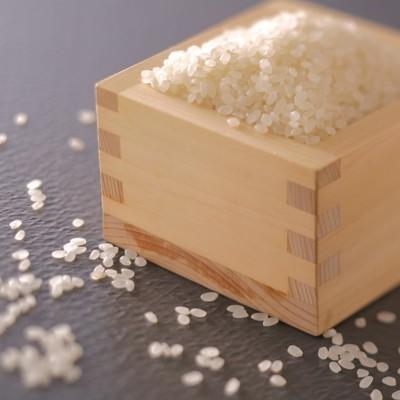 京都丹後産コシヒカリ5kg 2025年度産 厳選一等米お米 白米精米済 単一 