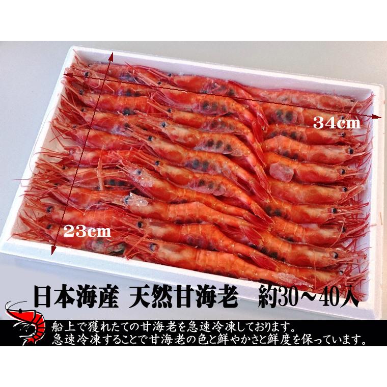 えび様！専用仕様ページ！ 日本海産 天然甘海老 約500g 船内冷凍無添加 28-35尾前後入 無着色お