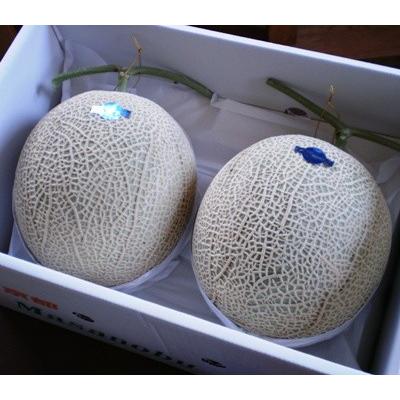 京都丹後網野産 砂丘メロン高級メロン3L 2玉 合計4kg以上 送料