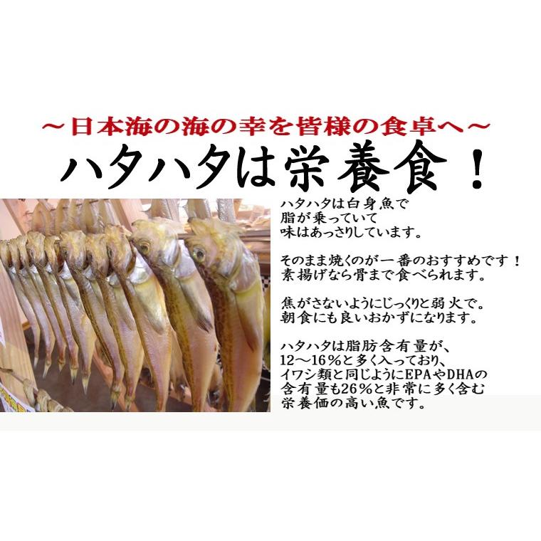 日本海産 ハタハタ一夜干し1kg約枚入冷凍はたはた一夜干し干物ハタハタハタハタ 干物ハタハタ 一夜干しハタハタ通販ハタハタ K Hatahata p 丹後長寿商店yahoo 店 通販 Yahoo ショッピング
