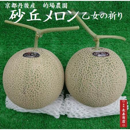 京都丹後久美浜産 砂丘メロン オトメの祈り 2玉 2Lサイズ 1.6kg