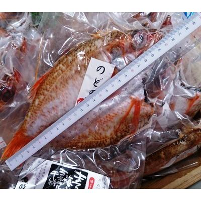 日本海産 のど黒一夜干し特大約280g 1枚のどぐろ 干物のどぐろ 一夜干しのどぐろ 魚ノドグロのどくろ 干物のどぐろ 旬のど K Nodoguro 1p 0g 丹後長寿商店yahoo 店 通販 Yahoo ショッピング
