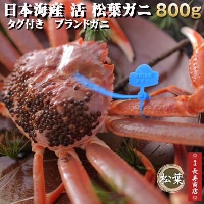 日本海産 活 松葉ガニ 生 約800g特選大サイズ1杯 タグ付ブランドガニ松葉ガニ松葉がにズワイガニズワイ津居山かに津居山漁港 Kanituiyama001 21 丹後長寿商店yahoo 店 通販 Yahoo ショッピング