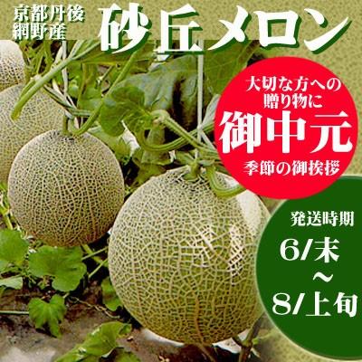 メロン様【M・15】 京都丹後網野産 砂丘メロン高級メロン3L 1玉 2kg以上 送料込