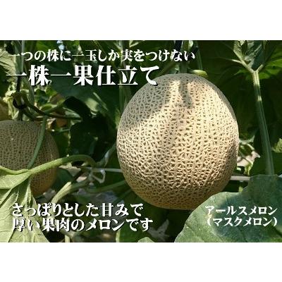 京都丹後網野産 砂丘メロン高級メロン3L 1玉 2kg以上 送料込 京都丹後網野産 砂丘メロン高級メロン3L 1玉 2kg以上 送料込