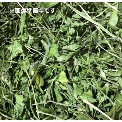 乾燥野草ミックス15ｇ うさぎオヤツ うさぎ野草 57 京都 丹後のぼく