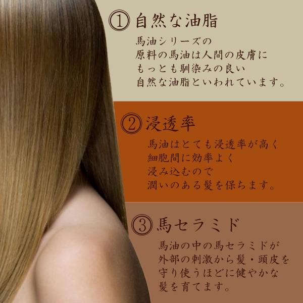 【即購入で値下げ】馬油シャンプー＆トリートメント 2000mL/2000g アズマ商事 馬油シャンプー・トリートメントセット : タングラム