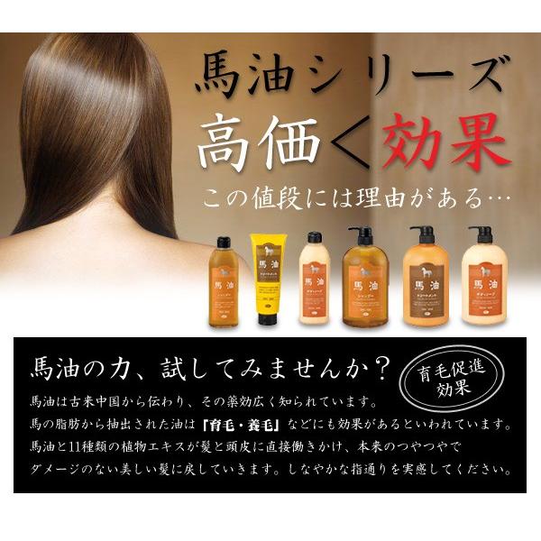 アズマ商事 馬油トリートメント詰め替え用2個セット : タングラム