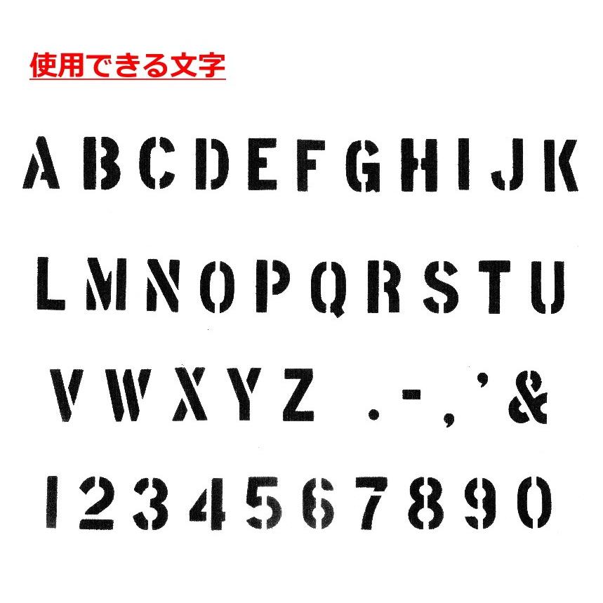 TN JIB テニスバッグ ホワイト×ブルーハンドル　TN158 
