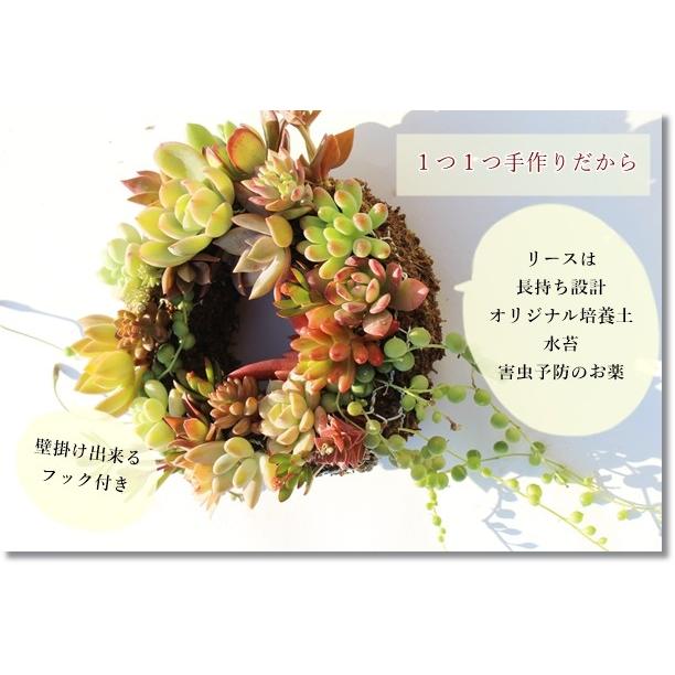 多肉植物リース アレンジメント 15cmクリスマスリース販売 母の日 父の日 贈り物 誕生日 開店祝い 引っ越し祝い自由研究 Pta行事 Ar Wreth15 多肉永遠支店 通販 Yahoo ショッピング