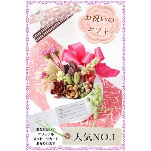 多肉植物のぽってりポット 可愛い 寄せ植え 贈り物 ギフト おしゃれ 白鉢 母の日ギフト花 Giftpote 001 多肉永遠支店 通販 Yahoo ショッピング
