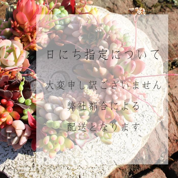 園芸ラベル中 2枚セット 多肉植物ラベル お洒落なラベル ネーム