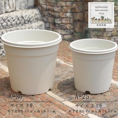 プラスチック鉢 A-30 3号 白 苗用 多肉植物のプラスチック鉢 : 多肉