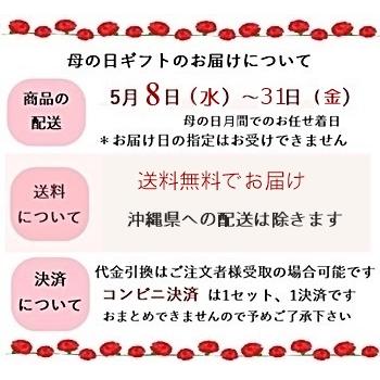 マザーズデイギフト 送料無料 感謝状付き 母の日 多肉植物の寄せ植え 可愛い 多肉植物  おしゃれ   母の日ギフト花｜tanikutoha｜10