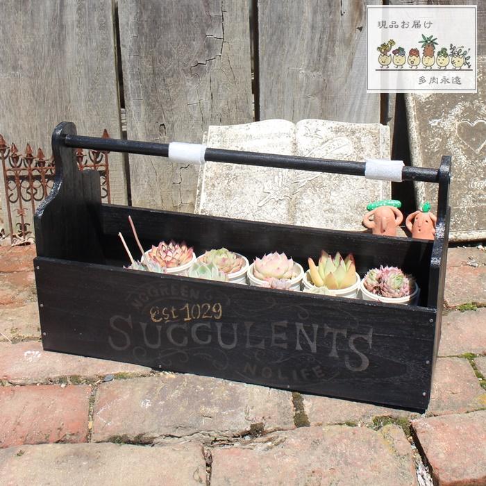 持ち歩きペラペラ和歌山弁 マエオカテツヤ 持ち歩きペラペラ和歌山弁