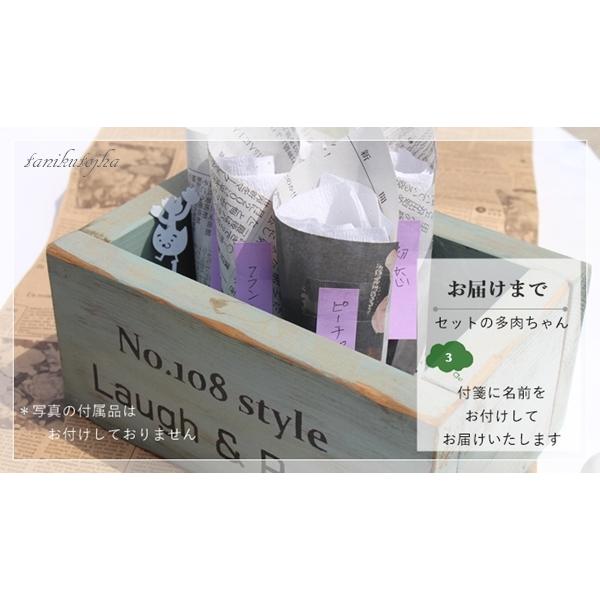 Sサイズ10種類苗セット 多肉植物根付苗セット 多肉植物セット