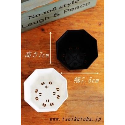 シャトル鉢2 5寸 10個 八角 白鉢 黒鉢 苗用 間口7 5cm 多肉植物にピッタリ プラスチック鉢通販 白プラスチック鉢 黒プラスチック鉢 Shati 001wb25 多肉永遠支店 通販 Yahoo ショッピング