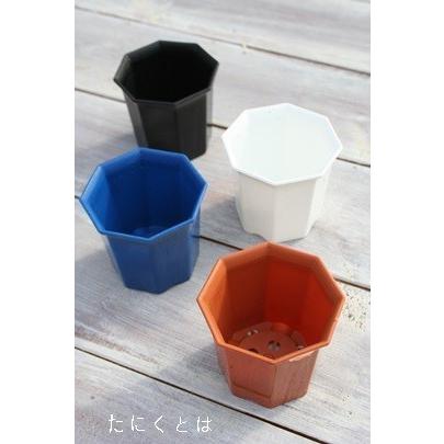 シャトル鉢2寸10鉢 八角 白 黒 苗用 間口6 5cm 小さな多肉植物にピッタリ プラスチック鉢 Shati 002siroaokuro2 多肉永遠支店 通販 Yahoo ショッピング