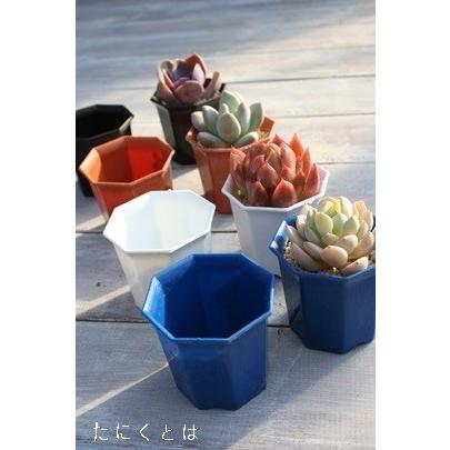 シャトル鉢2寸10鉢 八角 白 黒 苗用 間口6 5cm 小さな多肉植物にピッタリ プラスチック鉢 Shati 002siroaokuro2 多肉永遠支店 通販 Yahoo ショッピング