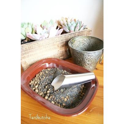多肉植物専用オリジナルブレンド培養土30kgリピーター続出 Soil Ab30kg 多肉永遠支店 通販 Yahoo ショッピング