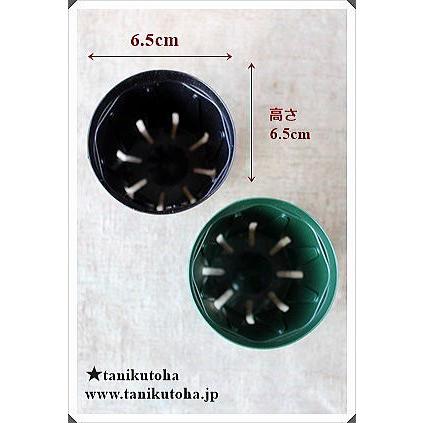 スリット鉢2号 緑 黒 苗用 間口6 5cm 多肉植物にピッタリなスリット鉢 多肉植物鉢 多肉植物プラ鉢通販 Srhati 2 多肉永遠支店 通販 Yahoo ショッピング