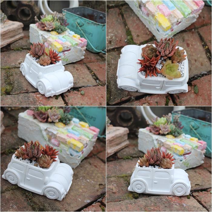 クラシックカーの寄せ植え 送料無料 yo3 たにく 多肉植物 寄せ