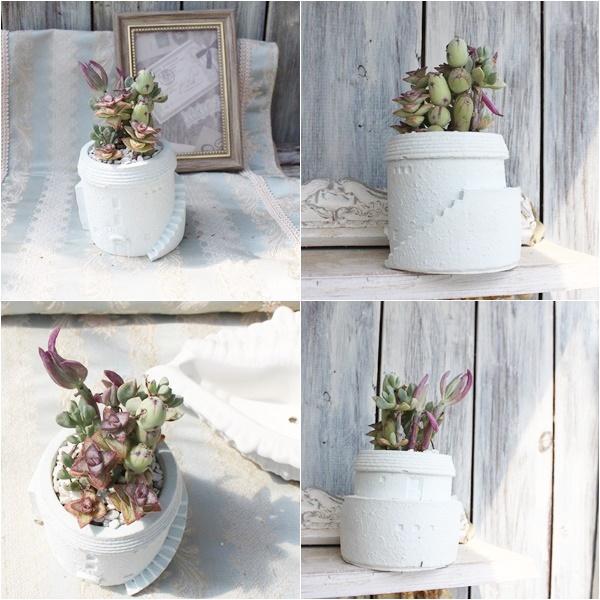 カフェ鉢の寄せ植え yo9 たにく 多肉植物 寄せ植え 新築祝い 開店祝い