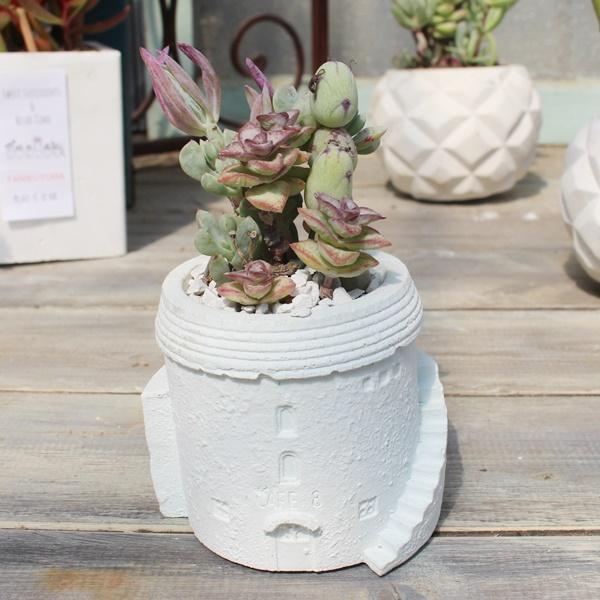 多肉寄せ植え カフェ鉢の寄せ植え yo9 たにく 多肉植物 寄せ植え 新築祝い 開店祝い