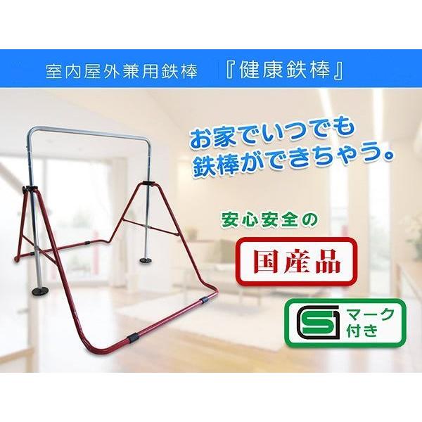 ダンノ 健康鉄棒 室内外兼用 D5522 （対象年齢３〜９歳） ブルー・レッド