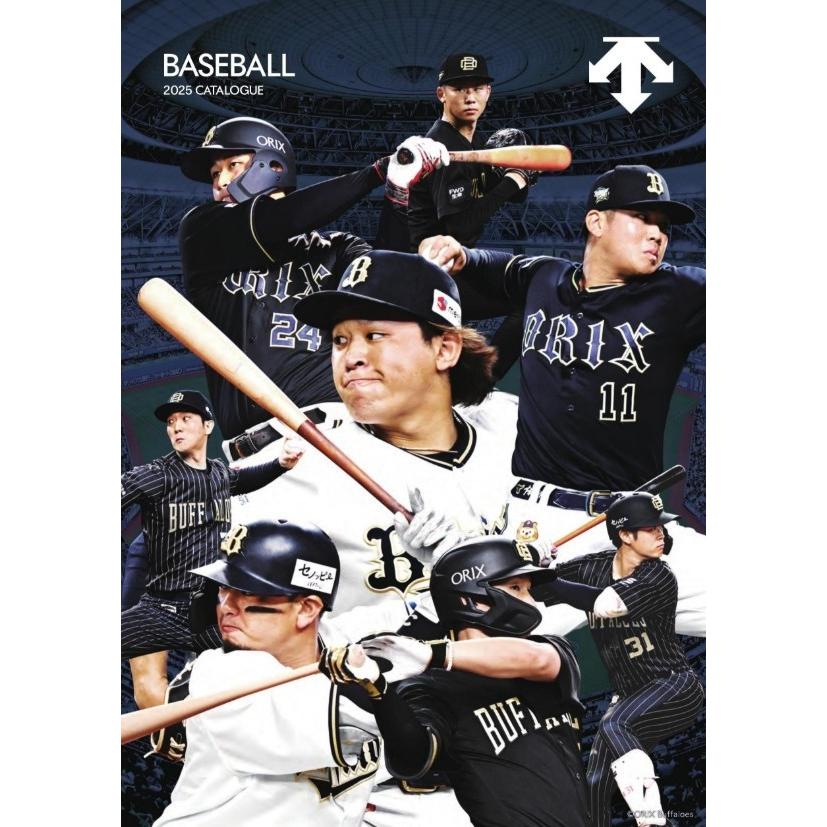 DESCENTE デサント 最高峰シリーズ The Stadium グラブ DESCENTE（デサント） DESCENTE 2025年 野球 ソフトボール カタログ