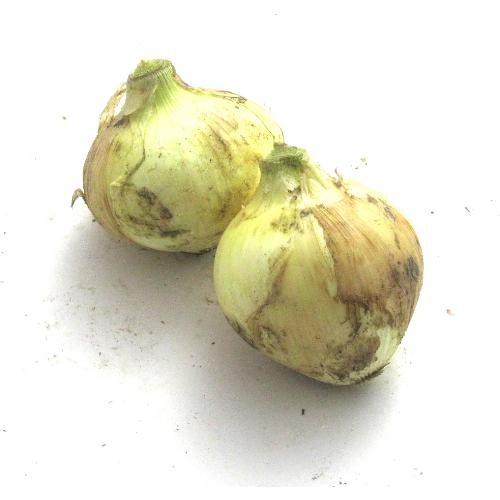 新玉ねぎ 300g 激安通販新作