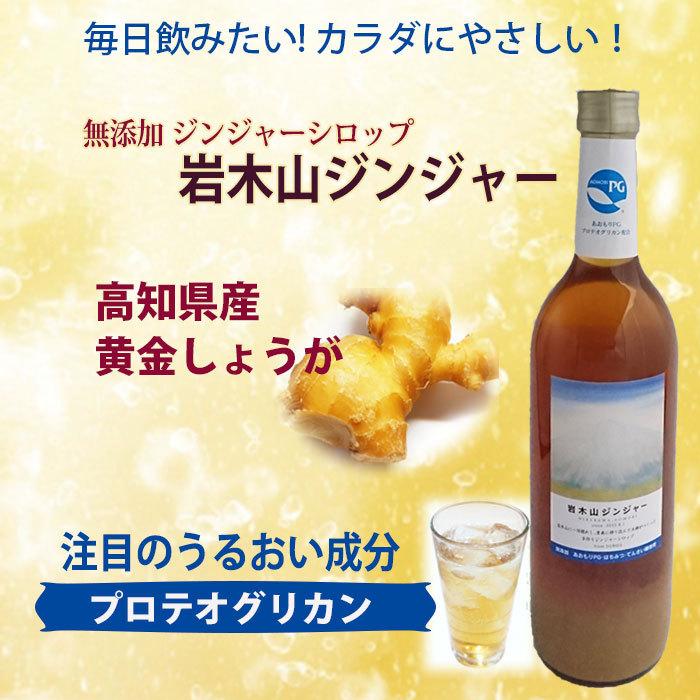 無添加ジンジャーシロップ【 岩木山ジンジャー 720mL