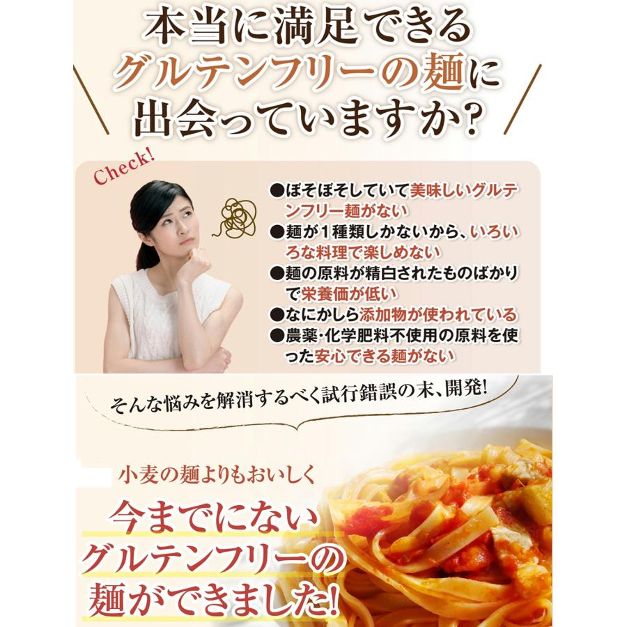 どんな料理にも合う3種のまるごと米粉麺 無農薬のモチモチ半生パスタ