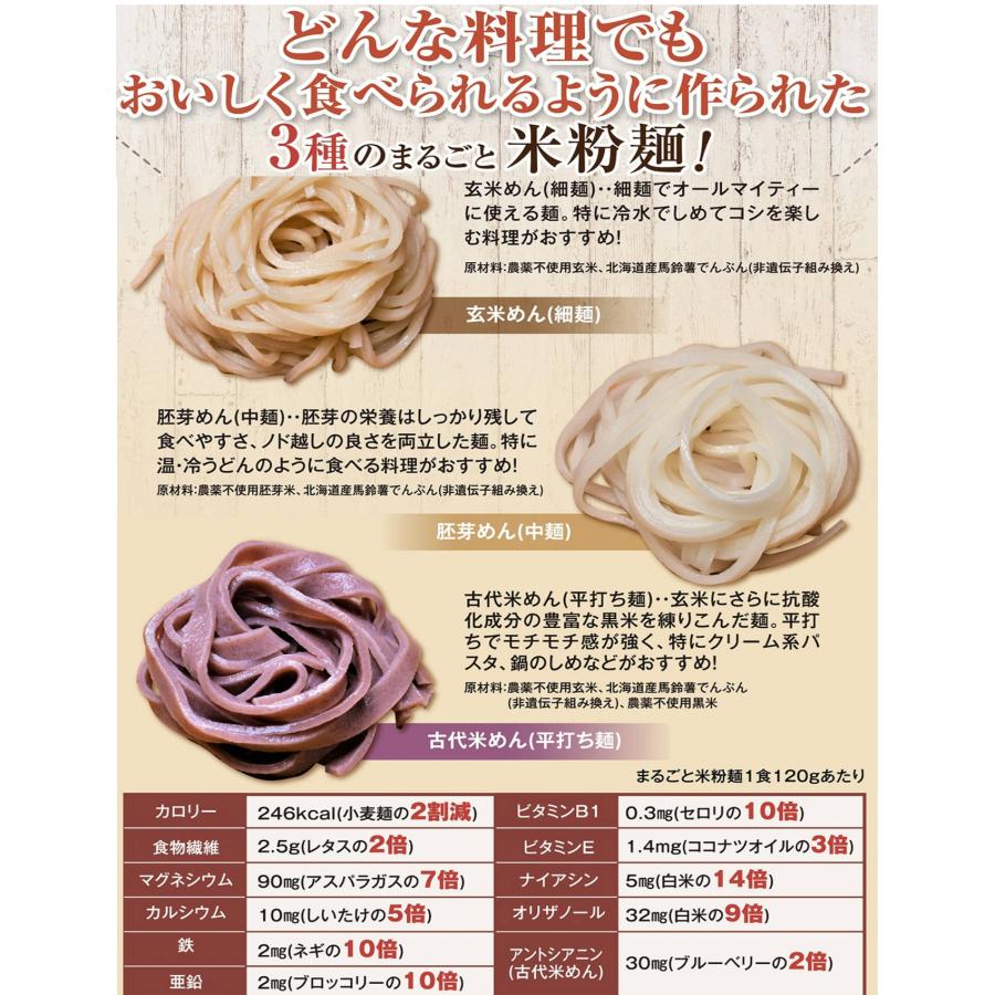 どんな料理にも合う3種のまるごと米粉麺 無農薬のモチモチ半生パスタ グルテンフリーパスタ 玄米 お米 米 スパゲティ うどん (お試し3種ミックス6食)｜tannendo｜06