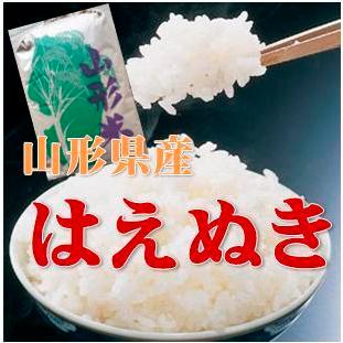 はえぬき 令和7年産 精米無料 山形県産 1等 玄米 30kg （送料無料