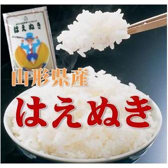 はえぬき 令和7年産 山形県産 白米 5kg 送料込み : 山形米の丹野商店