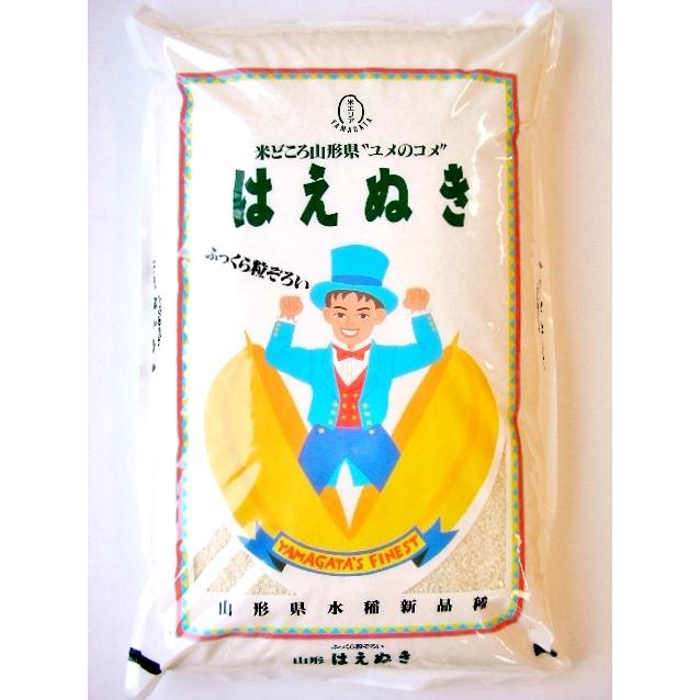 マ*カ様 令和7年産！ 山形県産 はえぬき 白米５ｋｇｘ2袋 はえぬき 令和7年産 山形県産 白米 5kg 送料込み : 山形米の丹野商店
