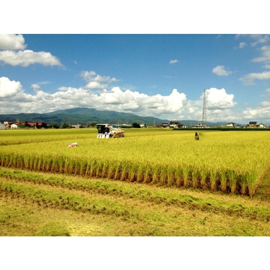 新米 令和4年産 精米無料 山形県産 ヒメノモチ (もち米)1等 玄米 30kg 送料無料|tannoshouten|03