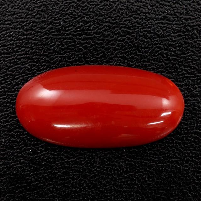 サンゴ ルース 6.904ct オーバルカボションカット 赤珊瑚 レッド