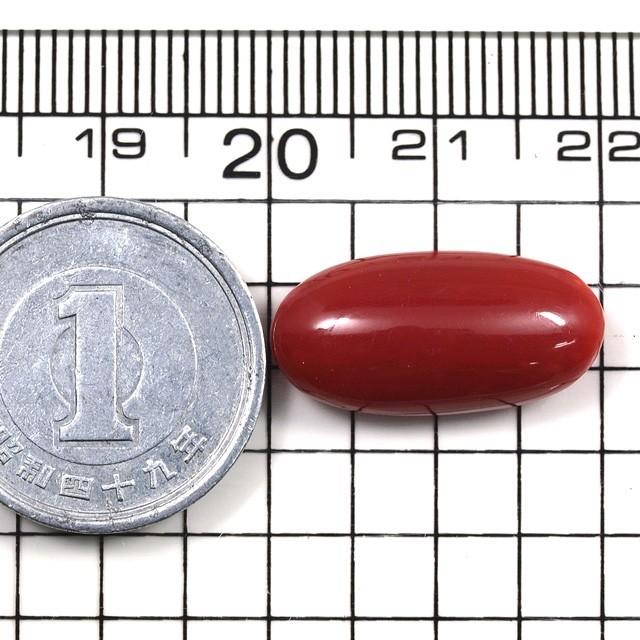 サンゴ ルース 6.904ct オーバルカボションカット 赤珊瑚 レッド