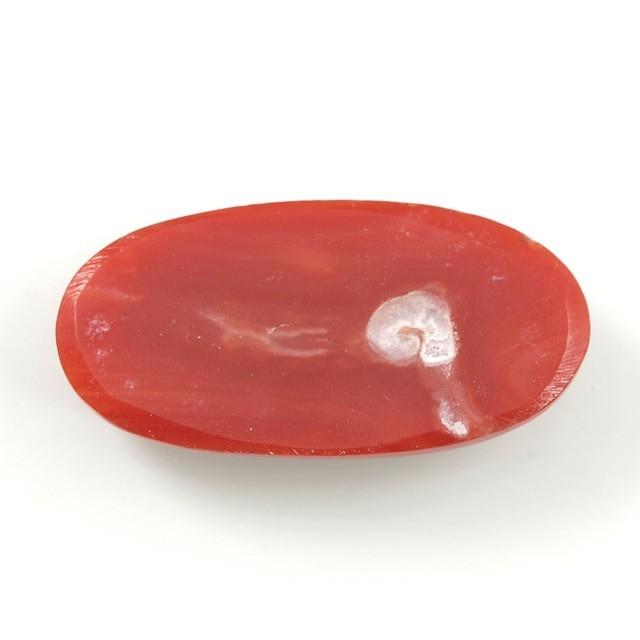サンゴ ルース 6.904ct オーバルカボションカット 赤珊瑚 レッド