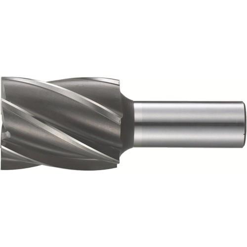 フクダ精工　３Ｓエンドミル６枚刃（標準刃）７０×３２　６ＳＦ−７０Ｘ３２　１本 （メーカー直送）